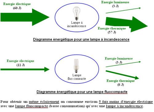 Schéma lampe basse consommation incandescence et fluocompacte