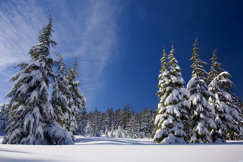 Dépression hiver