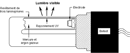 Tube fluorescent compact